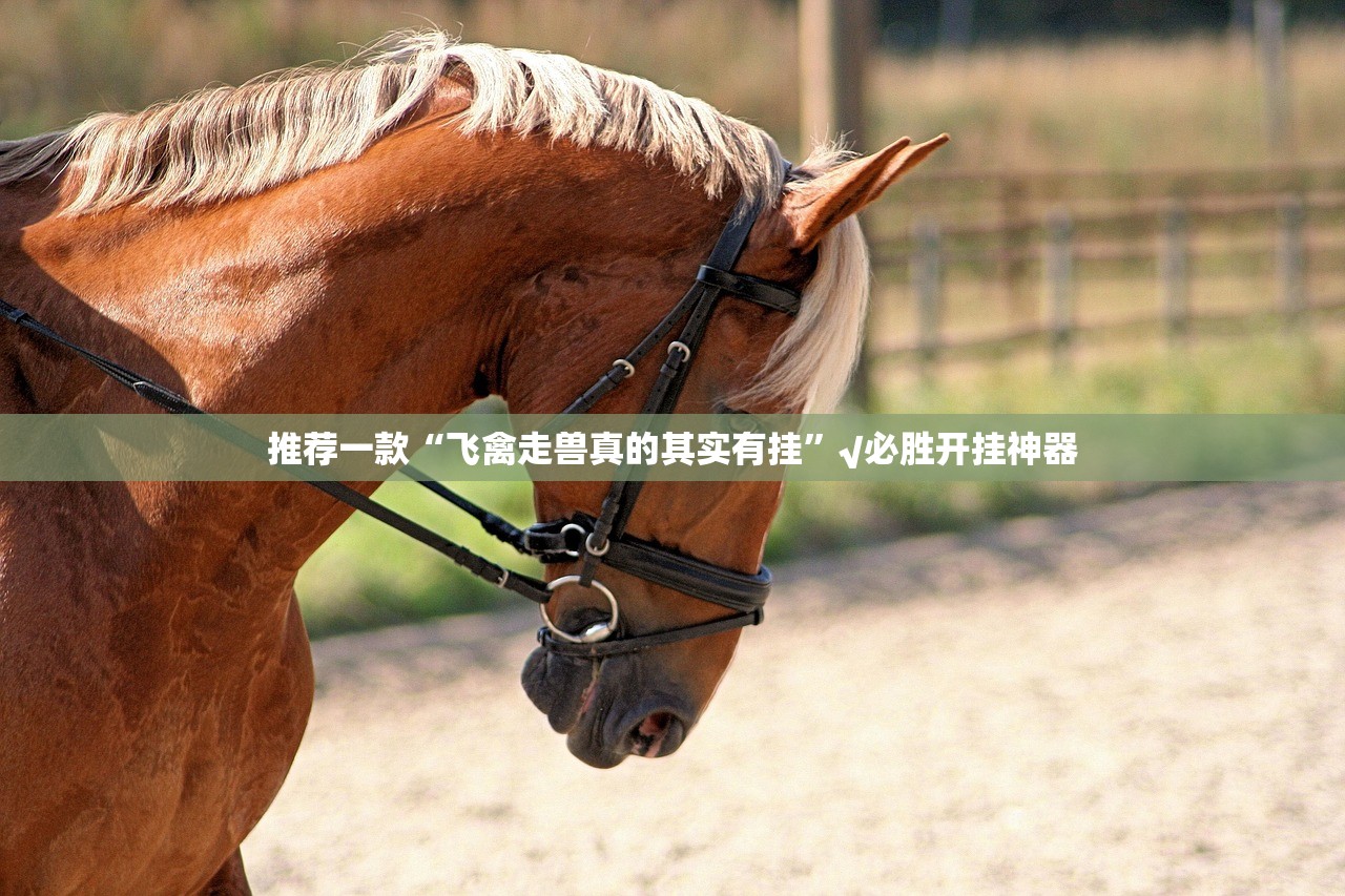 推荐一款“飞禽走兽真的其实有挂”√必胜开挂神器