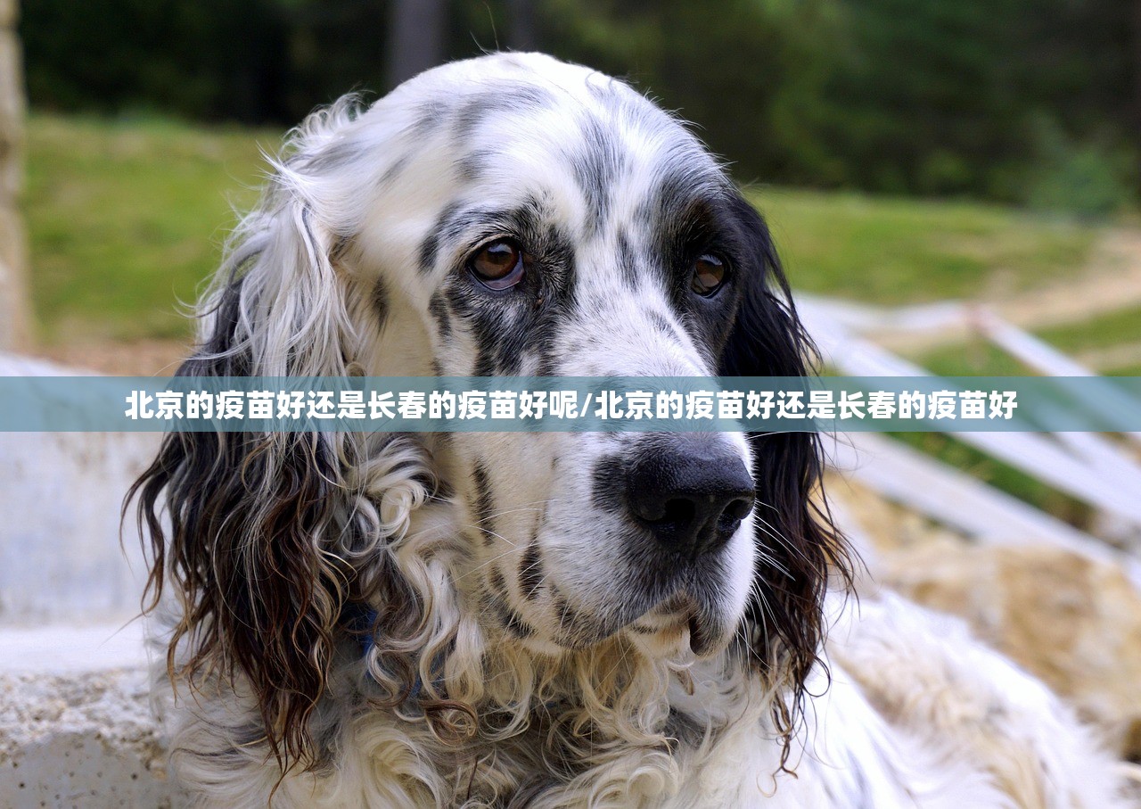 重磅.来袭丫丫衡阳字牌到底能不能开挂真的确实有挂 重磅.来袭丫丫衡阳字牌到底能不能开挂真的确实有挂