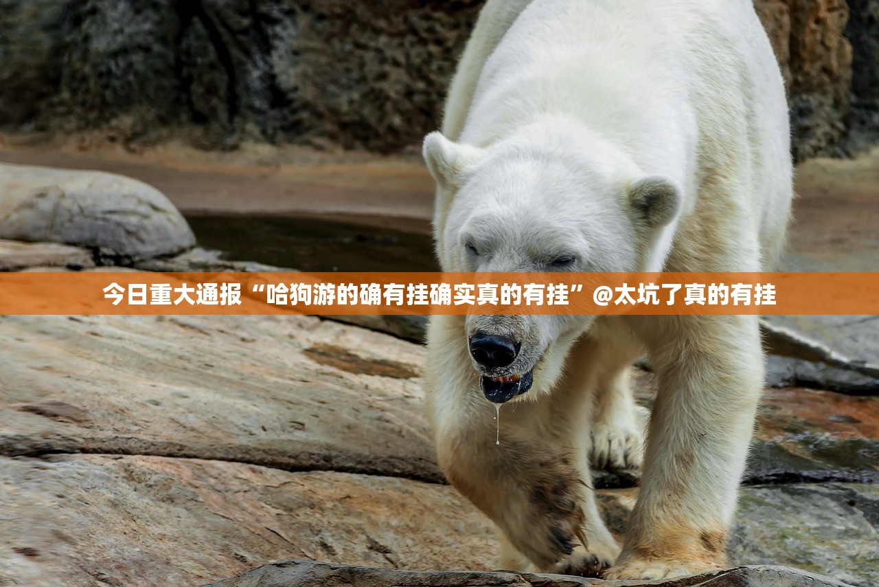 今日重大通报家乡鹤游到底能开挂吗原来可以开挂