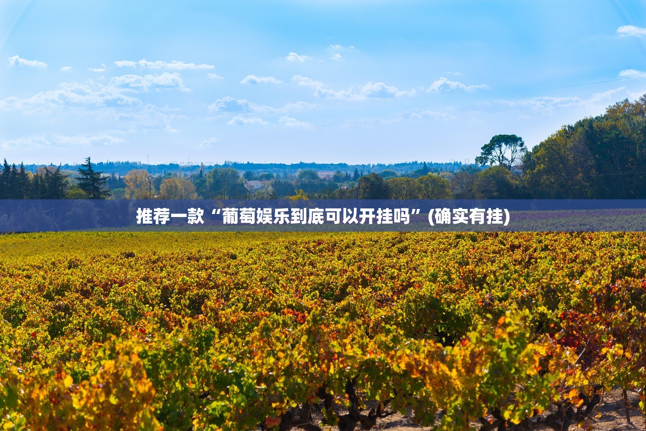 推荐一款“葡萄娱乐到底可以开挂吗”(确实有挂)