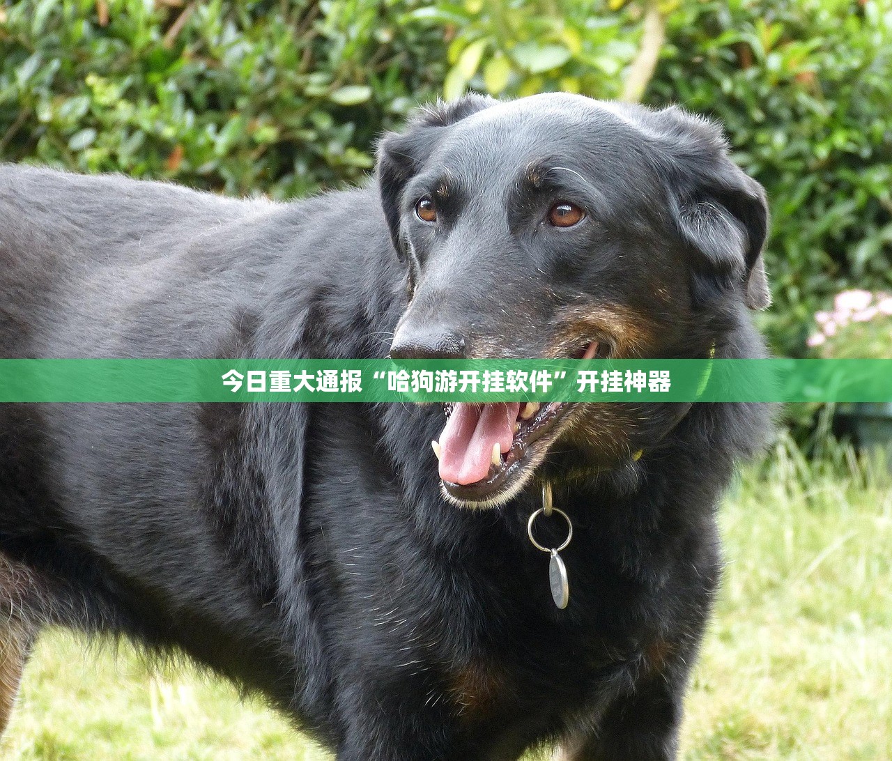今日重大通报越乡游麻将开挂下载安装√太坑了原来有挂