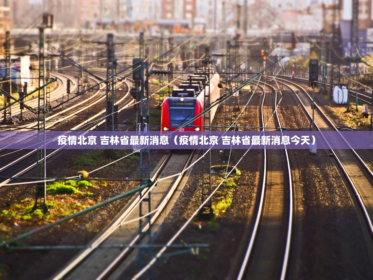 重磅.来袭鑫耀互娱的确有挂确实真的有挂(其实真的能开挂)