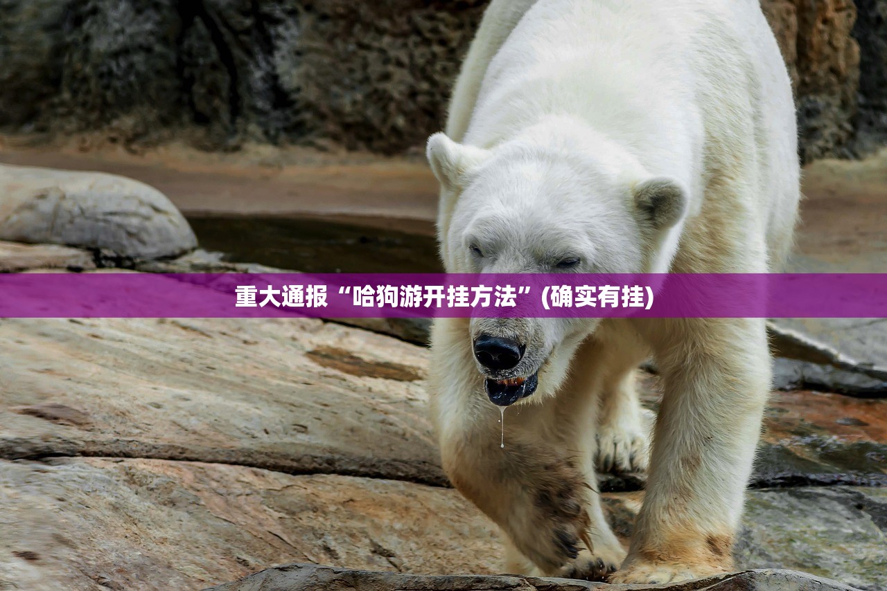 重磅.来袭茄子娱乐开挂神器下载!原来可以开挂 重磅.来袭茄子娱乐开挂神器下载!原来可以开挂