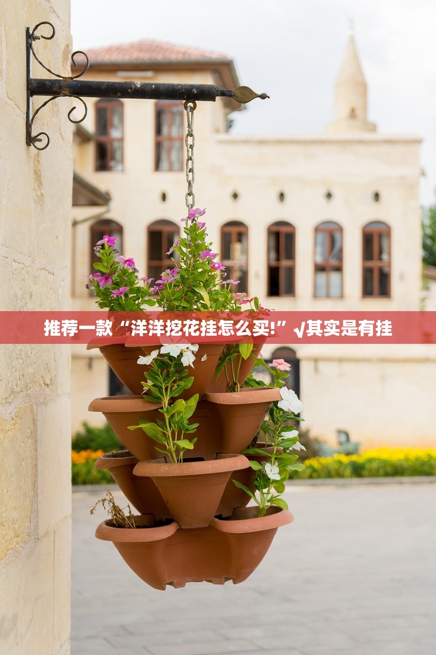 推荐一款“洋洋挖花挂怎么买!”√其实是有挂