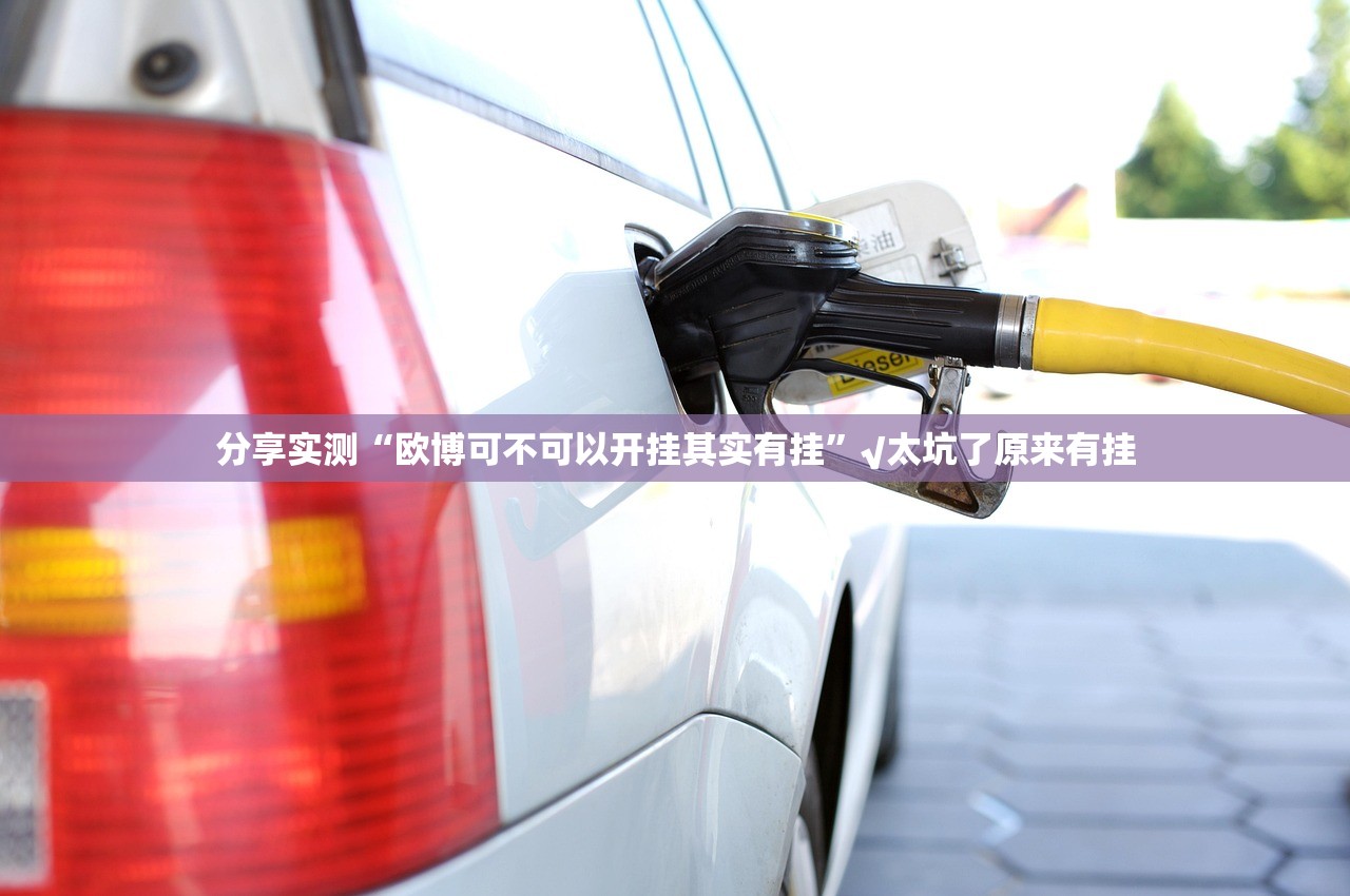 重磅.来袭鑫耀互娱的确有挂确实真的有挂(其实真的能开挂)
