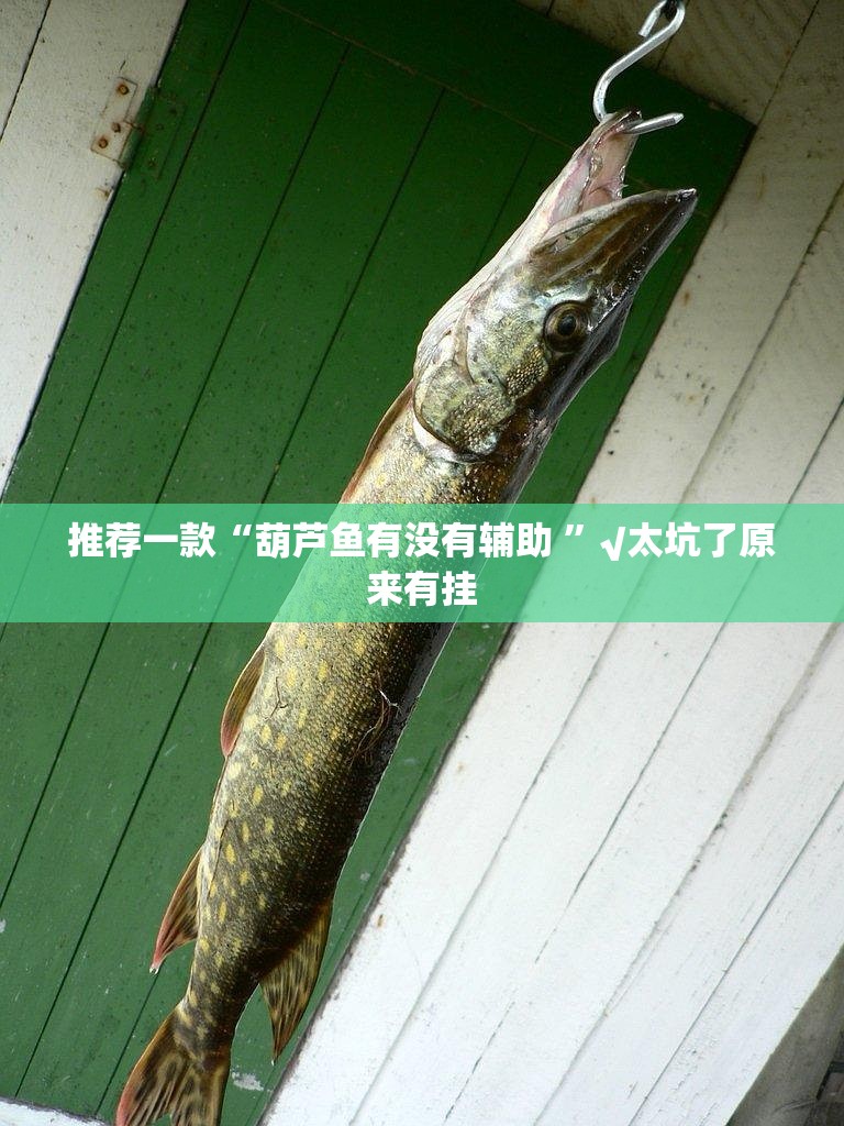 重磅.来袭wepoker开挂透视教程其实有挂-知乎 重磅.来袭wepoker开挂透视教程其实有挂-知乎