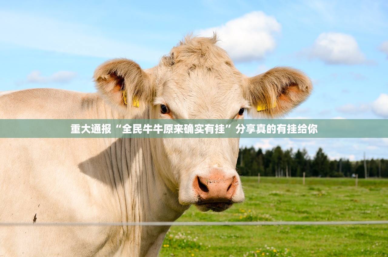 今日重大通报欢聚3开挂方法详细开挂教程@太坑了真的有挂