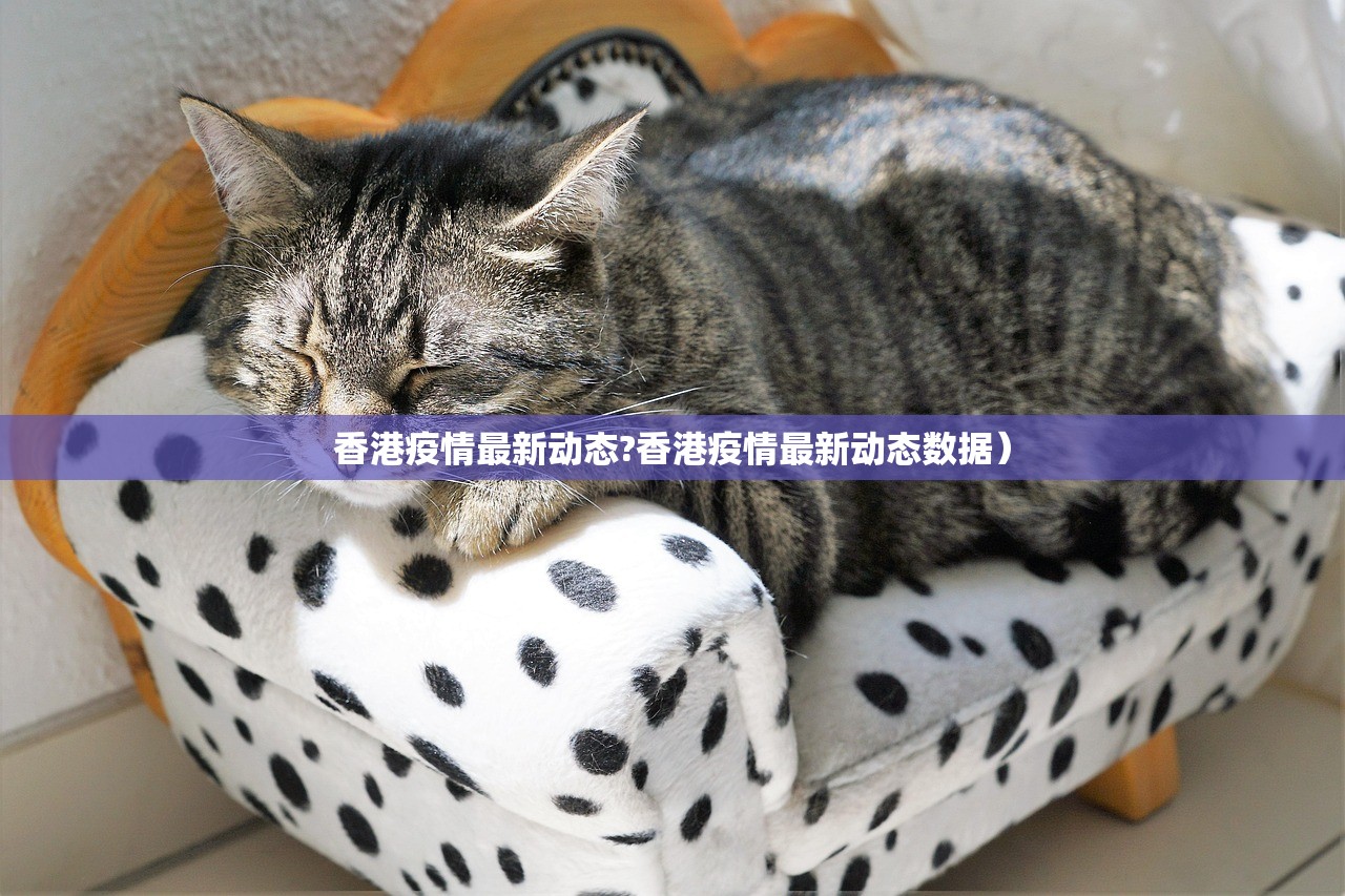 推荐一款心动联盟到底有没有挂确实有挂原来可以开挂 推荐一款心动联盟到底有没有挂确实有挂原来可以开挂