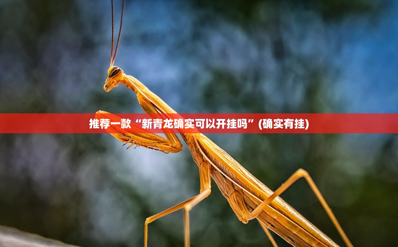 今日重大通报湖南跑得快可不可以开挂其实有挂其实确实有挂 今日重大通报湖南跑得快可不可以开挂其实有挂其实确实有挂