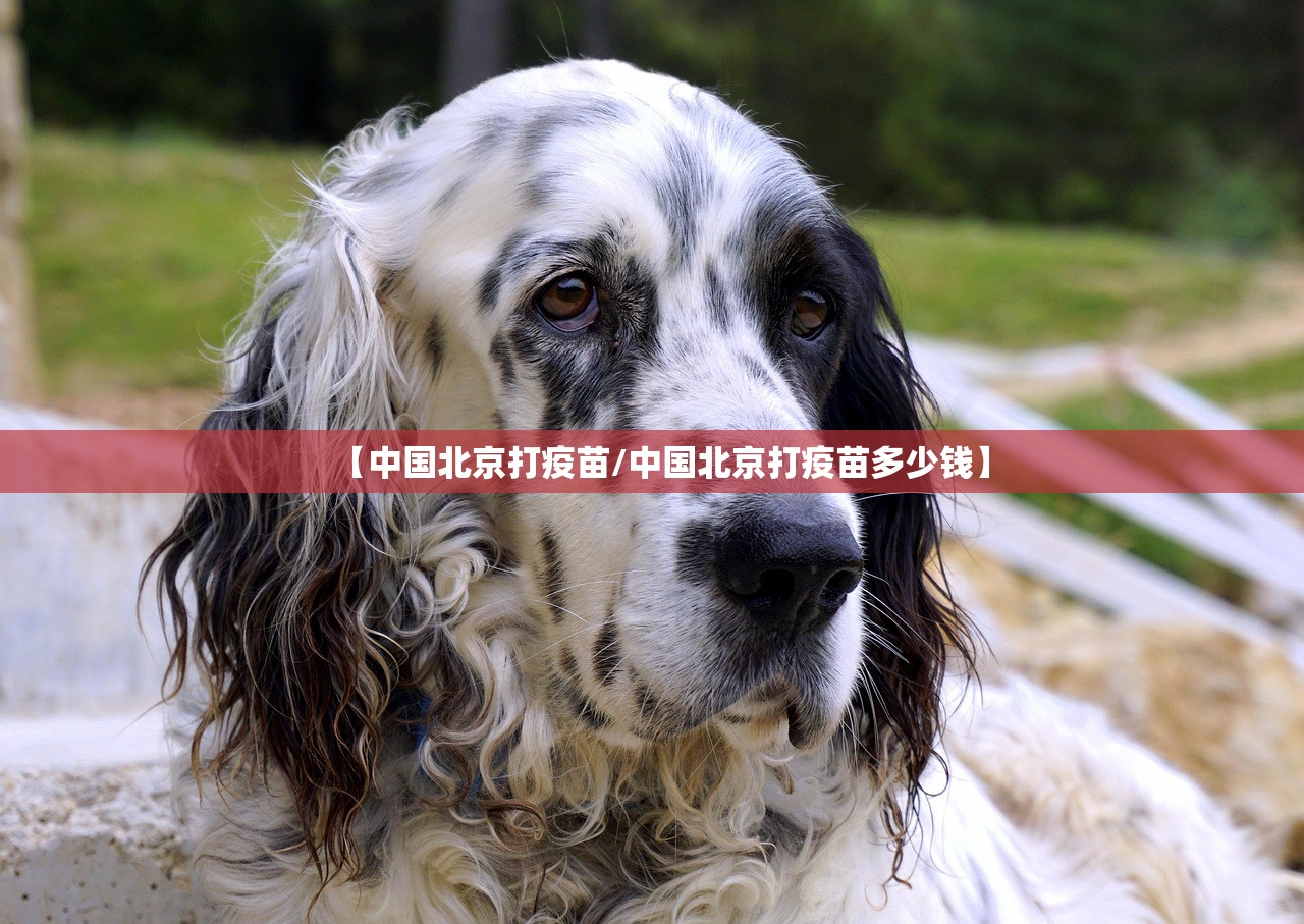 分享实测茄子娱乐有挂稳赢方法(真的有挂)-知乎