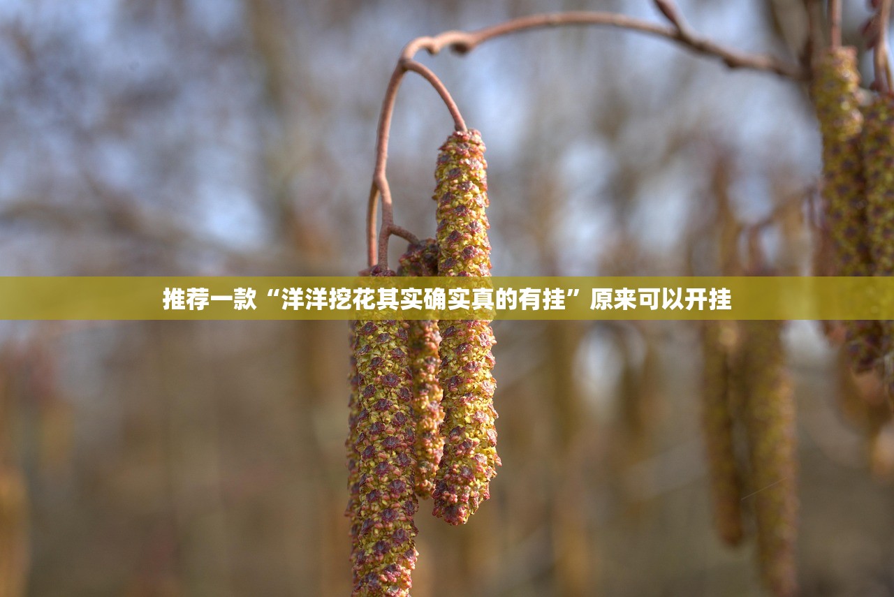 分享实测朋友圈开挂软件方法√太坑了原来有挂 分享实测朋友圈开挂软件方法√太坑了原来有挂