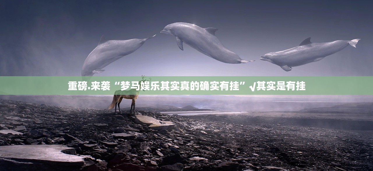 今日重大通报方片十三张有没有挂确实有挂分享真的有挂给你