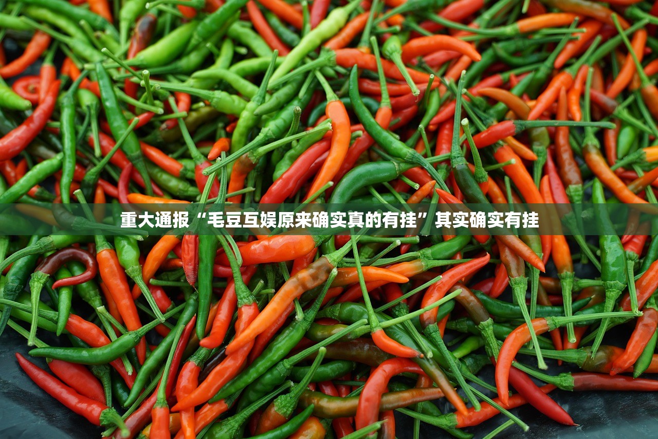 重磅.来袭欢乐贰柒拾必赢神器确实真的有挂