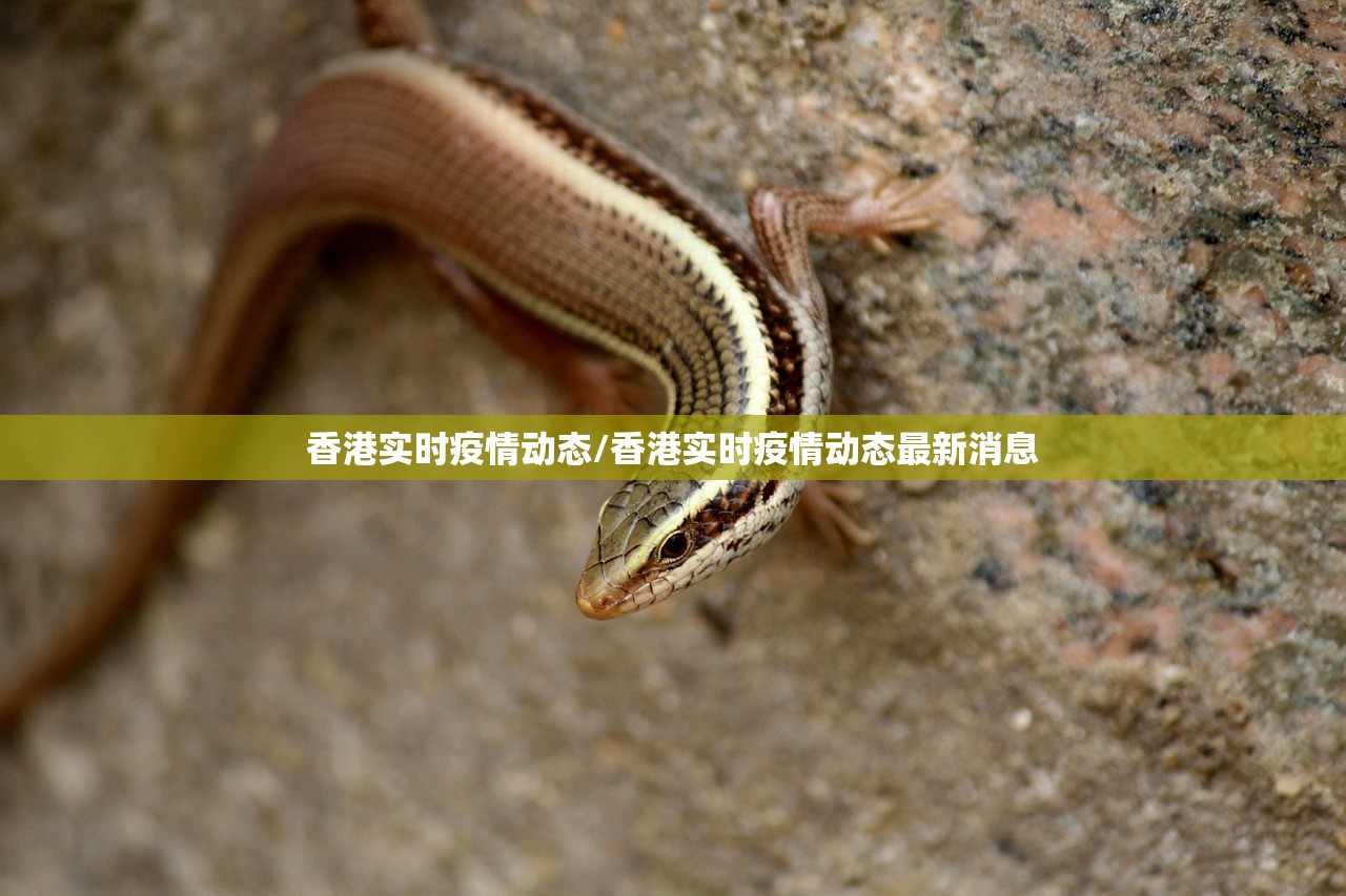 重磅.来袭美猴王其实有挂确实有挂√确实真的有挂