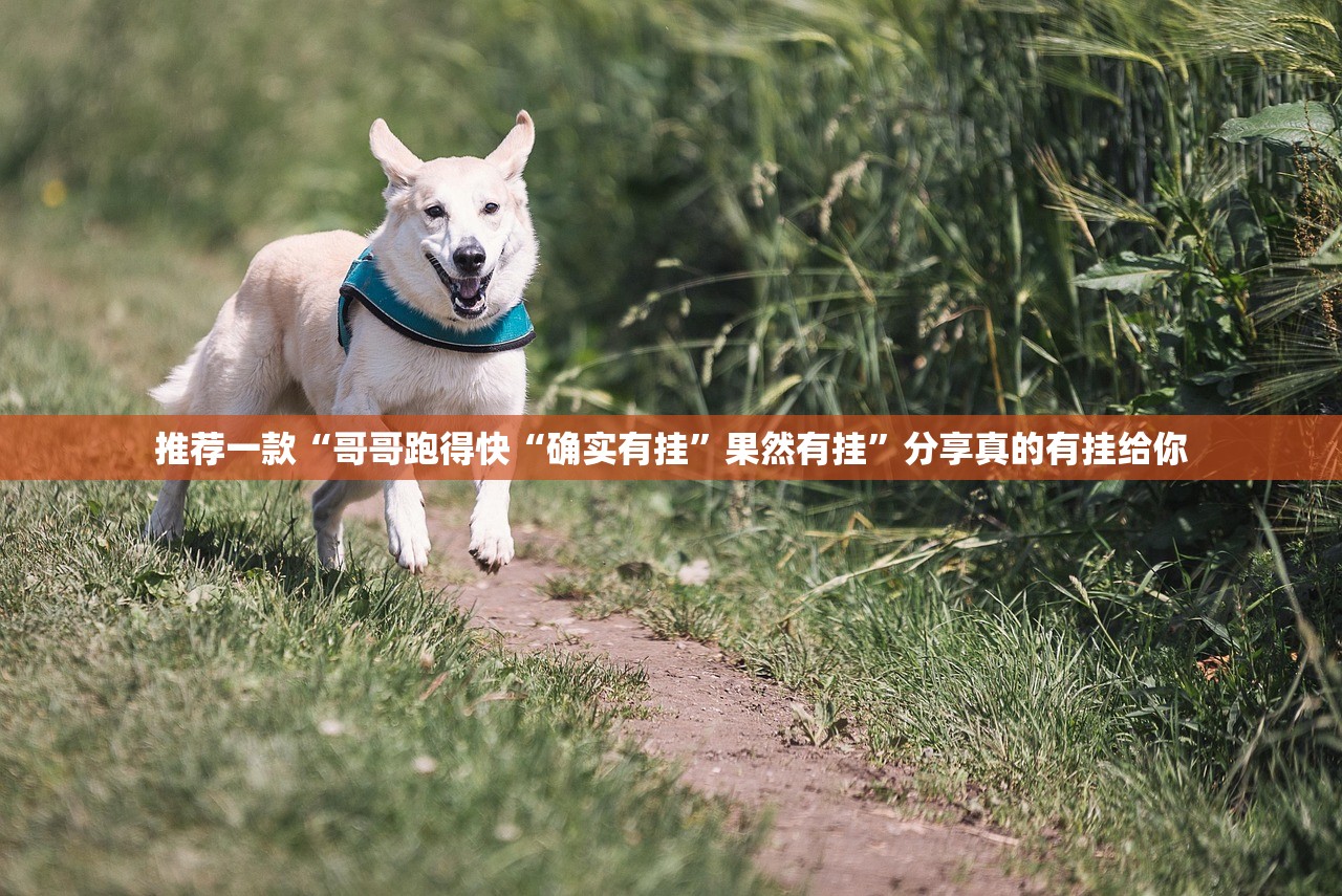 推荐一款情怀娱乐其实是有挂的原来真可以开挂