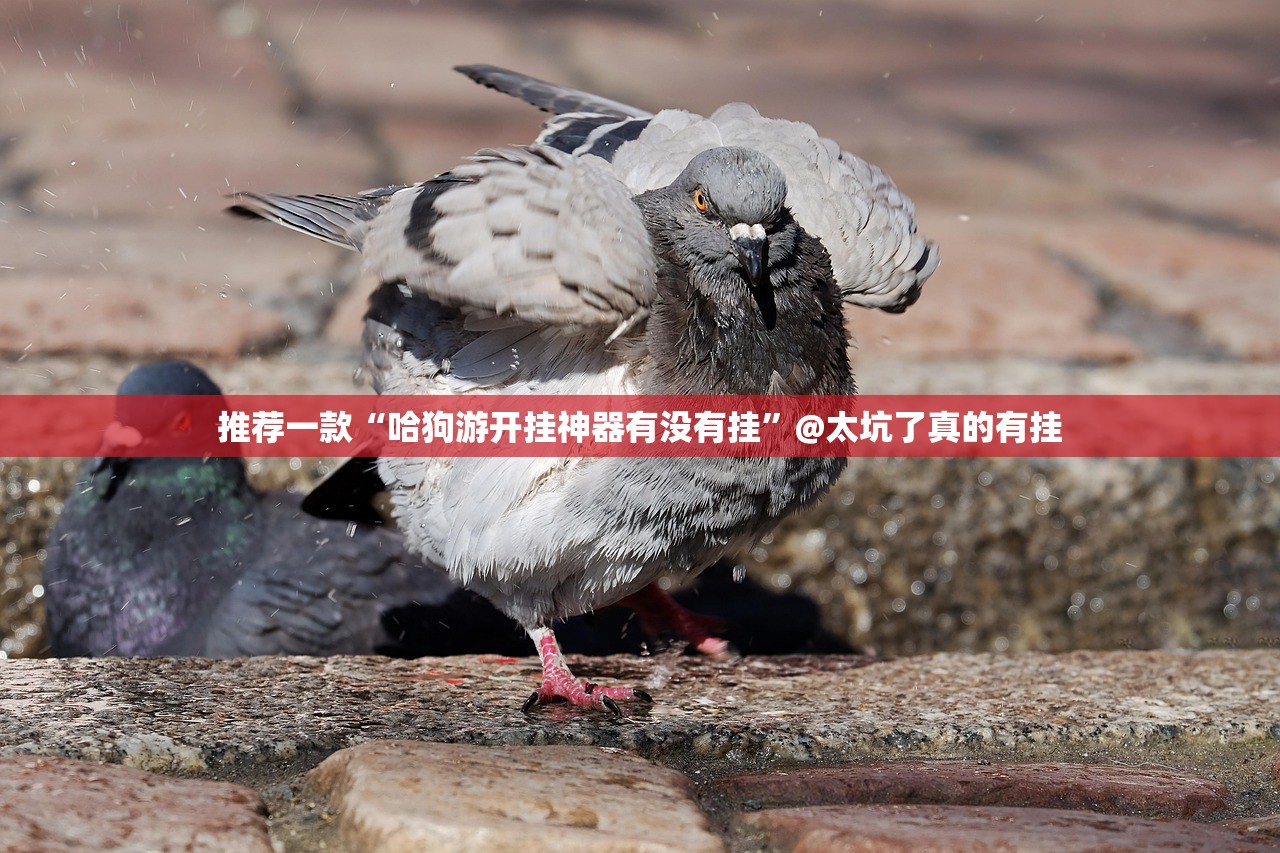 推荐一款“德州牛仔原来确实可以开挂”开挂神器