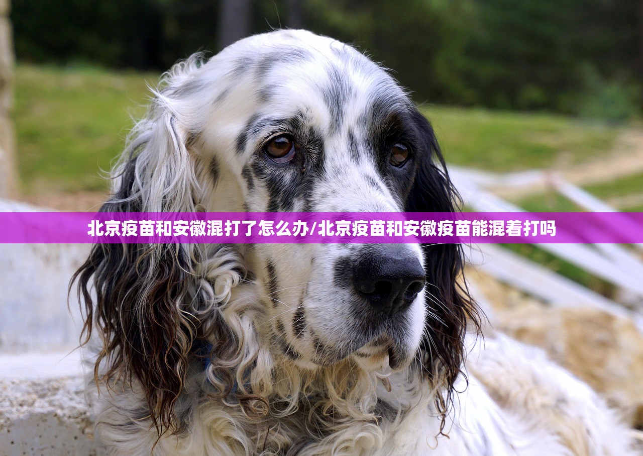 今日重大通报百乐盟有没有辅助 原来可以开挂 今日重大通报百乐盟有没有辅助 原来可以开挂