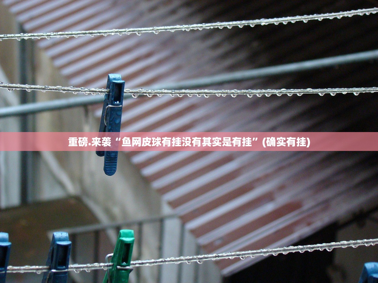 浙江省疫情政策汇总与沈阳最新动态,精准防控下的民生保障 浙江省疫情政策汇总与沈阳最新动态,精准防控下的民生保障