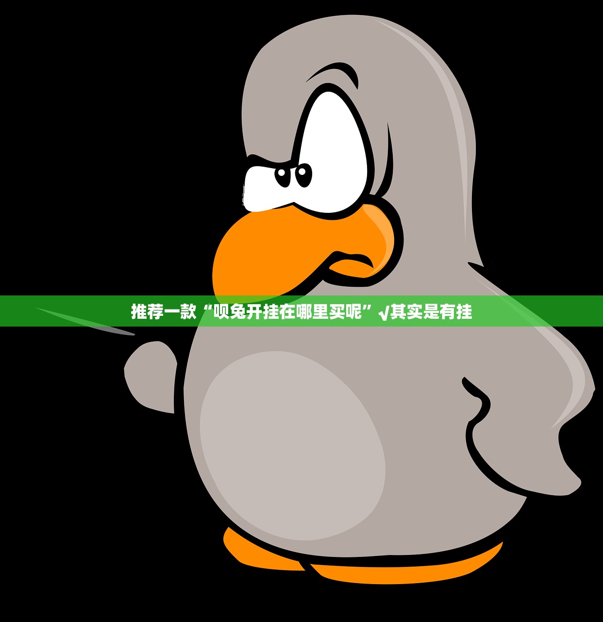 今日重大通报鱼网皮球有开挂辅助软件吗果然有挂