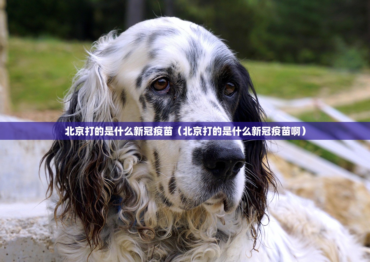 今日重大通报新广西老友麻将外卦神器是真的吗”果然有挂 今日重大通报新广西老友麻将外卦神器是真的吗”果然有挂