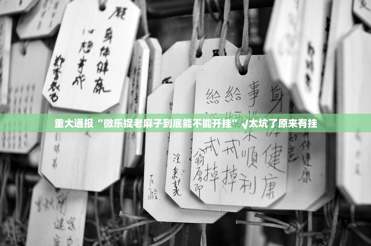 推荐一款西元红河棋牌可以装挂的实测确实有挂 推荐一款西元红河棋牌可以装挂的实测确实有挂