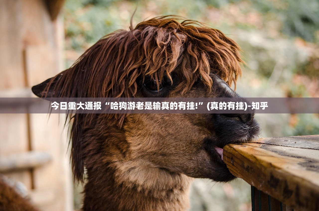 今日重大通报人海究竟有没有挂√其实是有挂 今日重大通报人海究竟有没有挂√其实是有挂