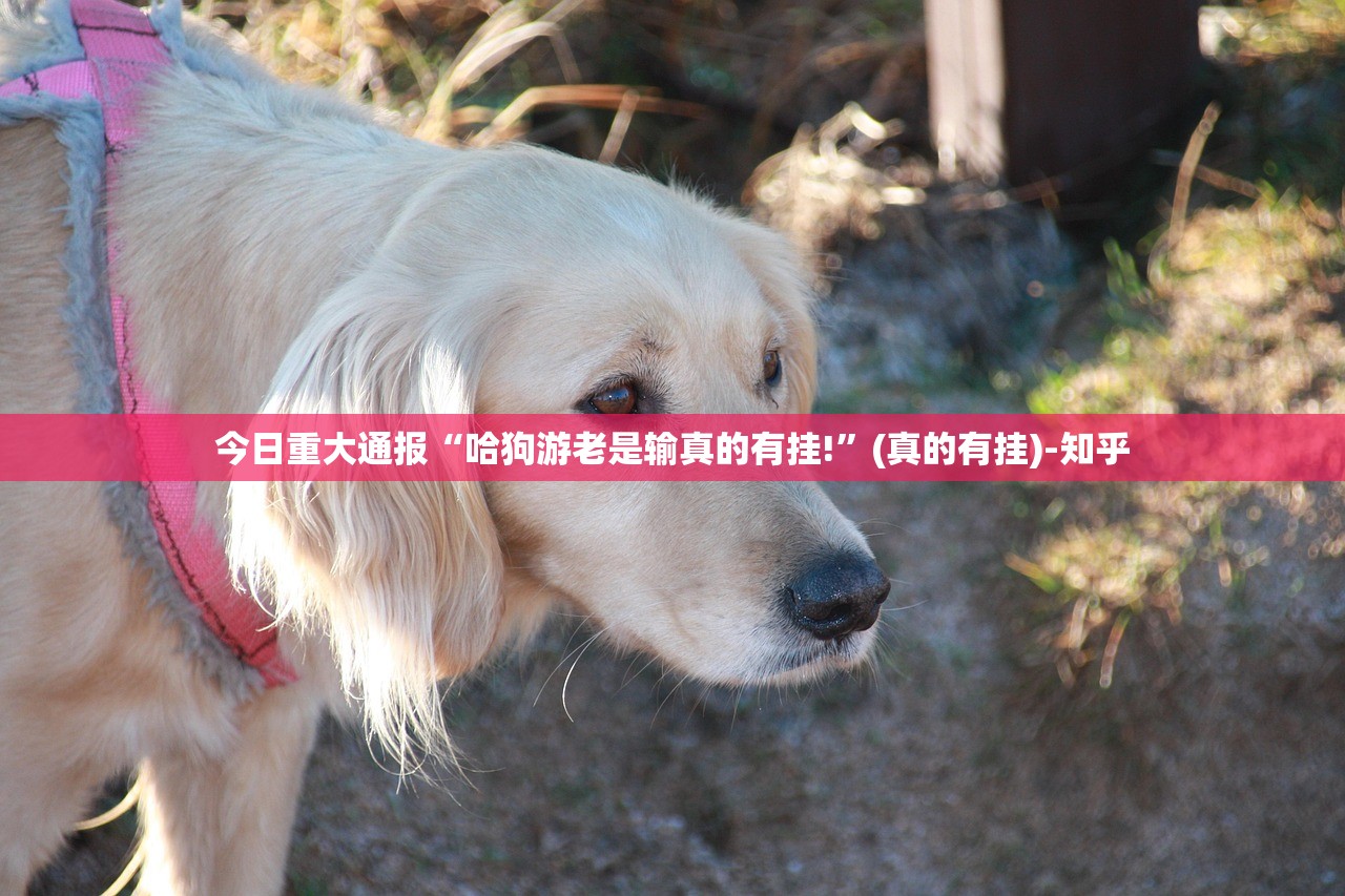 重大通报趣玩果然有挂确实有挂@太坑了真的有挂