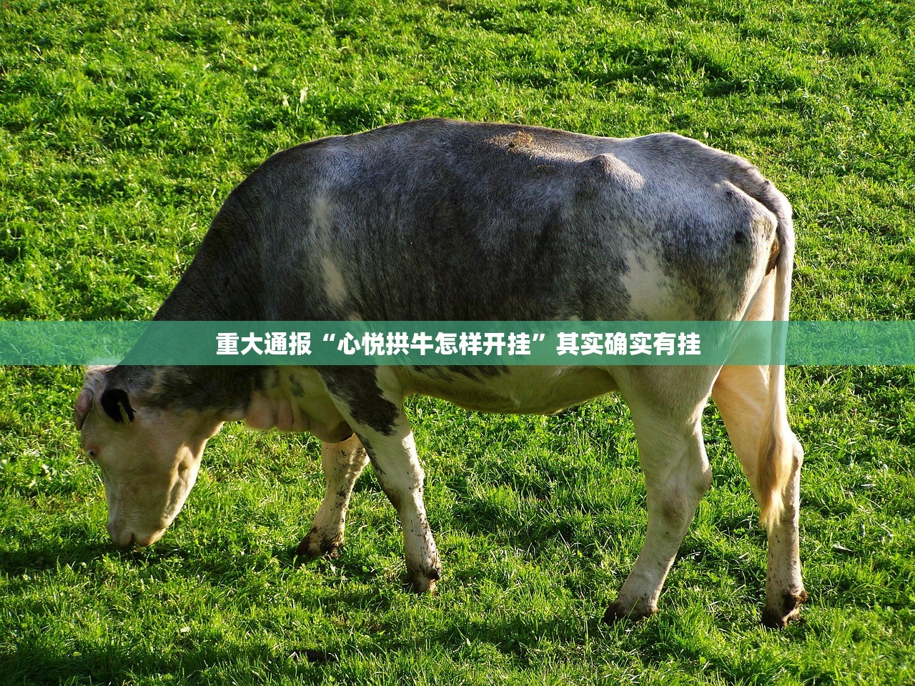推荐一款小闲巴渝棋牌到底可以开挂吗!开挂教程步骤(确实有挂)