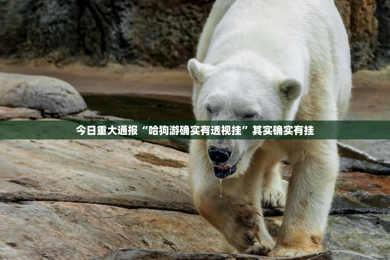 今日重大通报北极星为什么一直输其实有挂-知乎