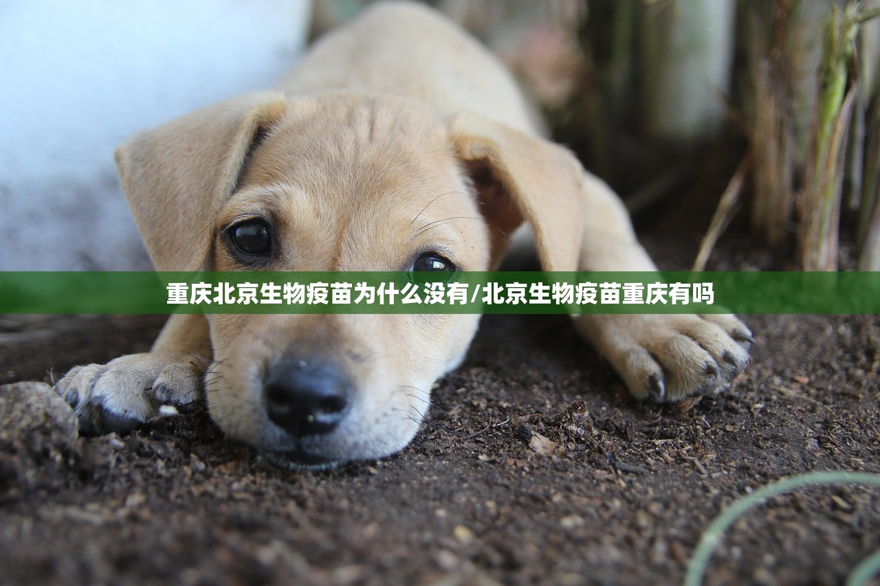 分享实测玉海楼茶苑外卦神器是真的吗开挂神器