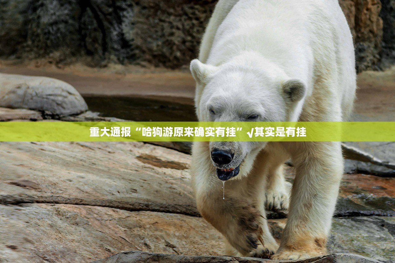 分享实测宁波世纪茶馆挂辅助工具开挂神器