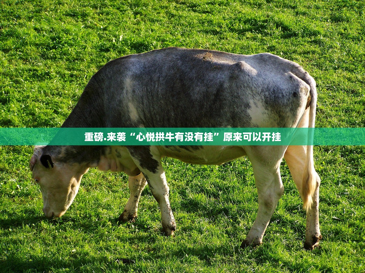 重磅.来袭欢聚3到底有没有挂可以装(真的有挂)-知乎