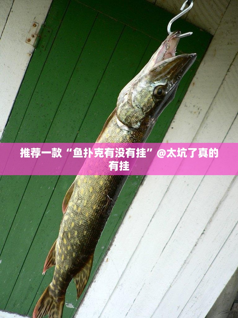 推荐一款熟人牛牛究竟是不是有挂@太坑了真的有挂