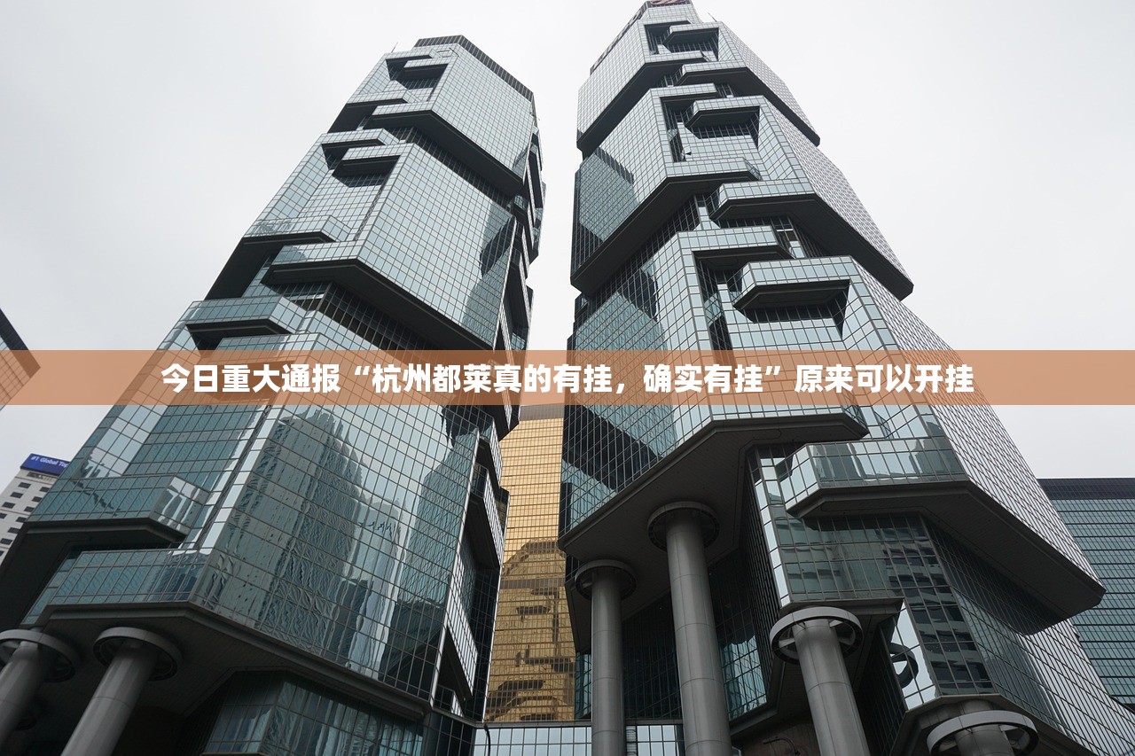 今日重大通报家乡大贰开挂辅助!详细开挂教程(确实有挂)