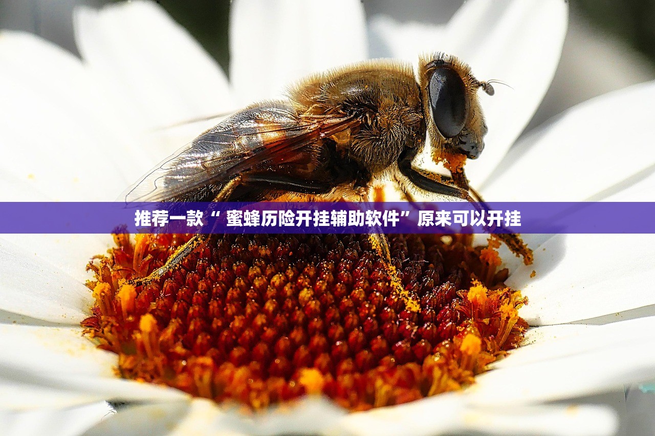 重磅.来袭新时代开挂辅助!详细开挂教程√必胜开挂神器