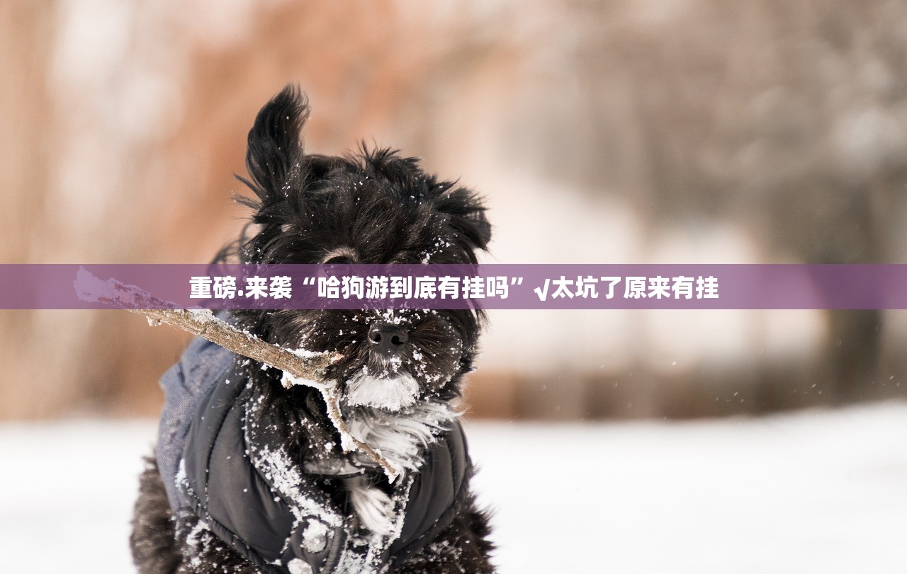 推荐一款新广西老友麻将开挂方法详细开挂教程(其实真的能开挂)