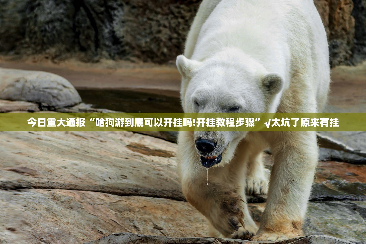 推荐一款浙江游戏大厅开挂神器!详细开挂教程其实确实有挂 推荐一款浙江游戏大厅开挂神器!详细开挂教程其实确实有挂