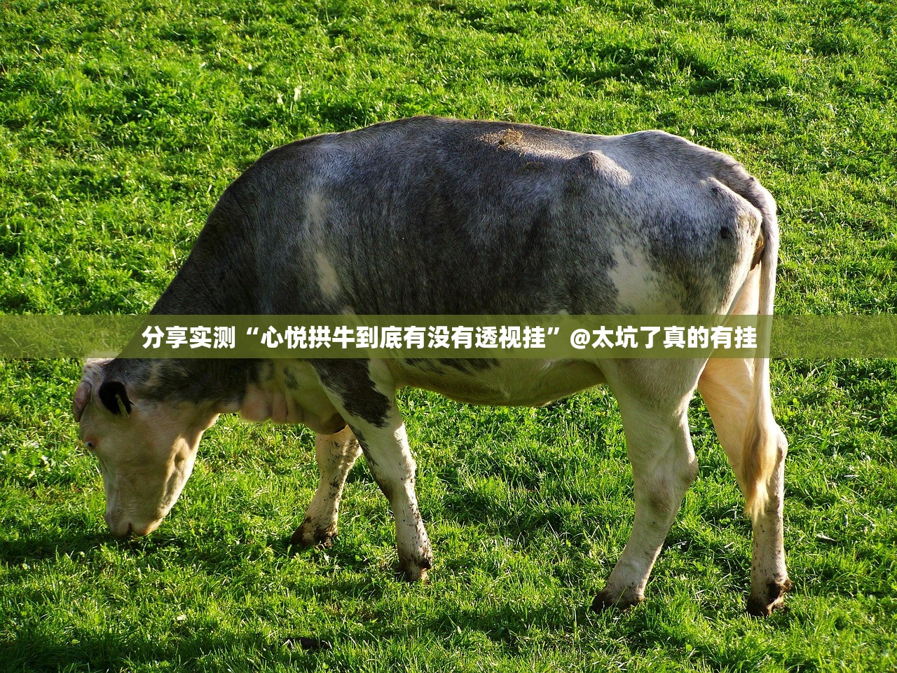 推荐一款九九联盟挂辅助工具√太坑了原来有挂
