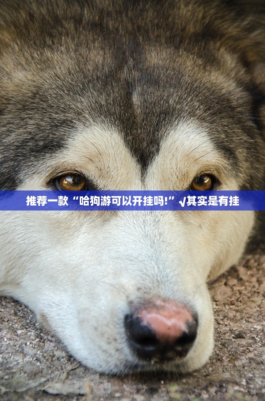 分享实测甘孜金花到底有没有挂吗果然有挂