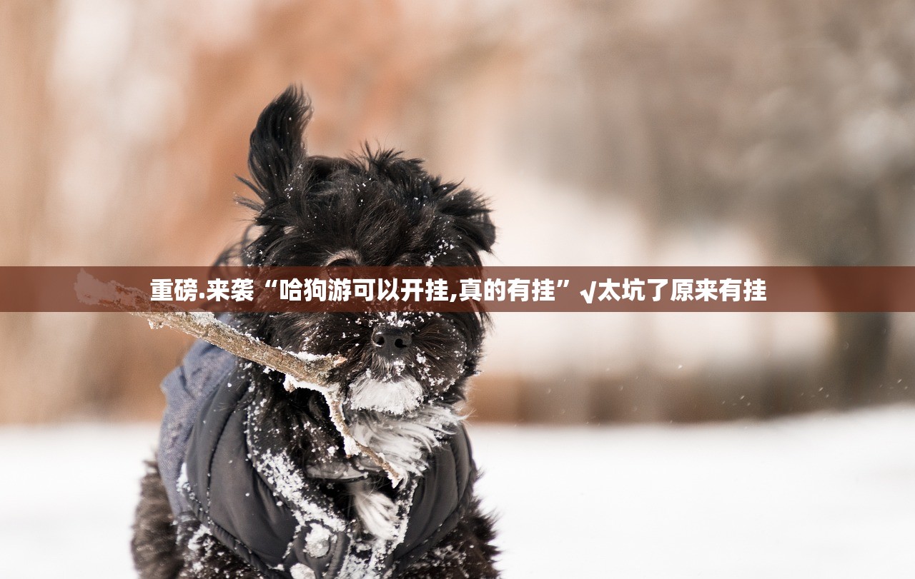 分享实测牛气冲天真的可以开挂真的有挂果然有挂