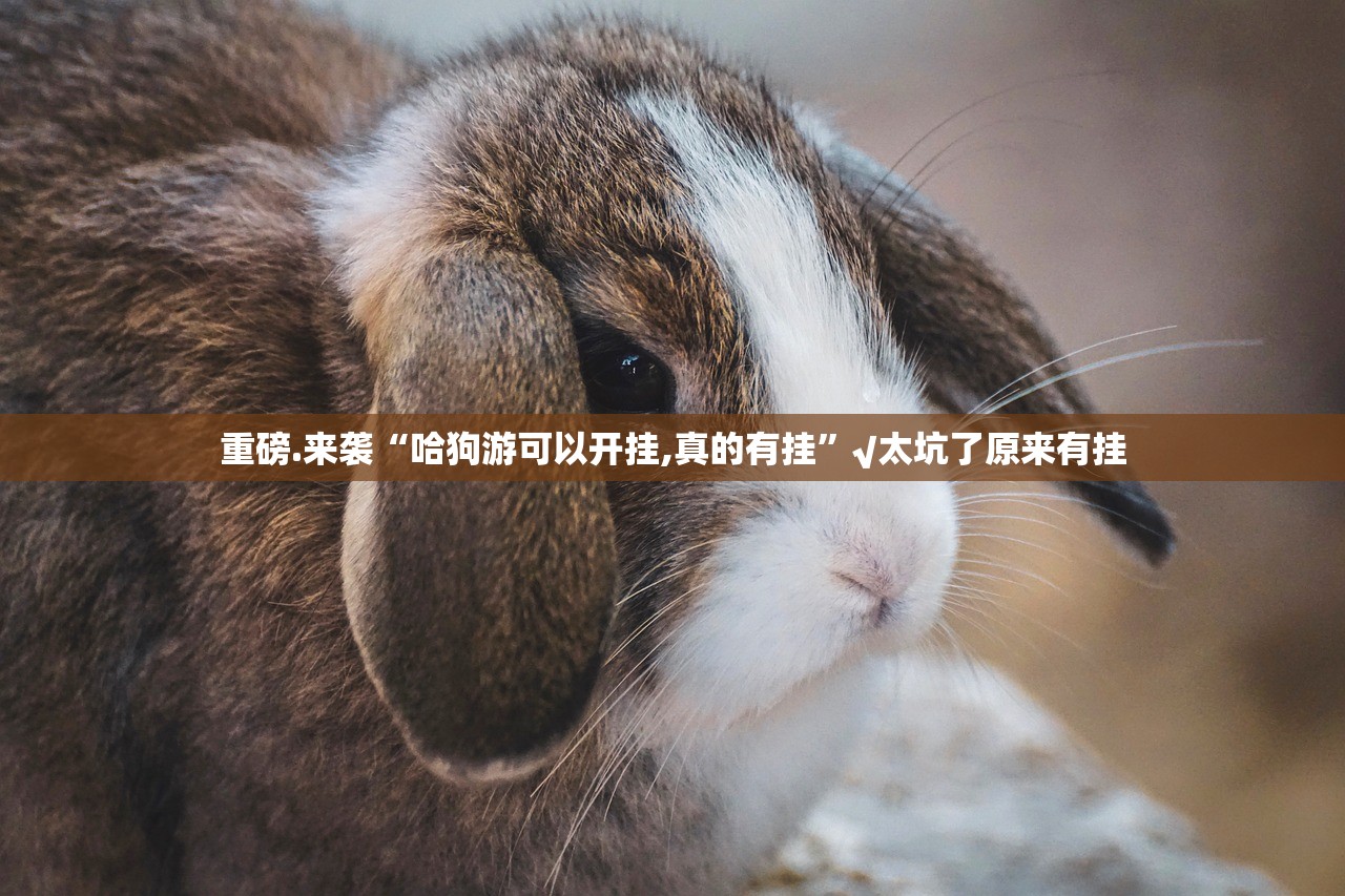 推荐一款汕尾联友怎么买挂其实有挂-知乎 推荐一款汕尾联友怎么买挂其实有挂-知乎