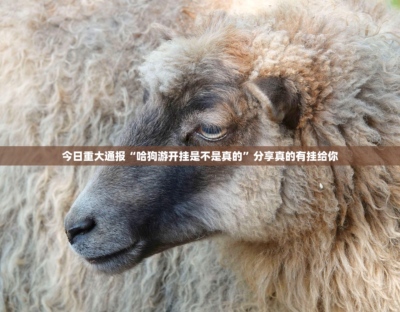 今日重大通报微乐跑得快有没有挂!√太坑了原来有挂 今日重大通报微乐跑得快有没有挂!√太坑了原来有挂