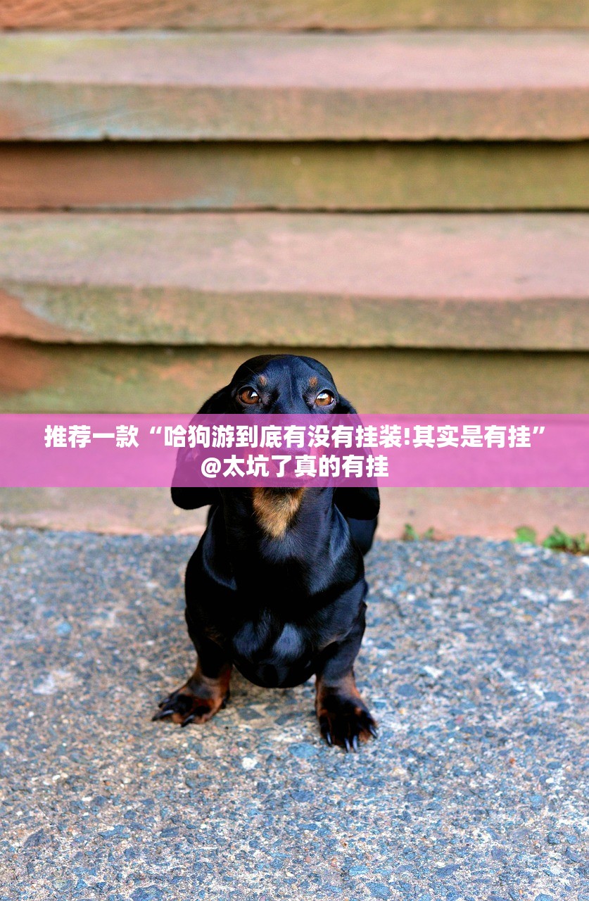 分享实测情怀娱乐确实有挂吗!其实有挂-知乎