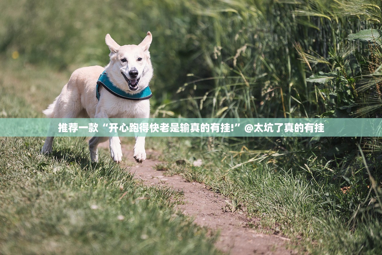 分享实测咪咪扑克怎么开挂开挂技巧真的确实有挂