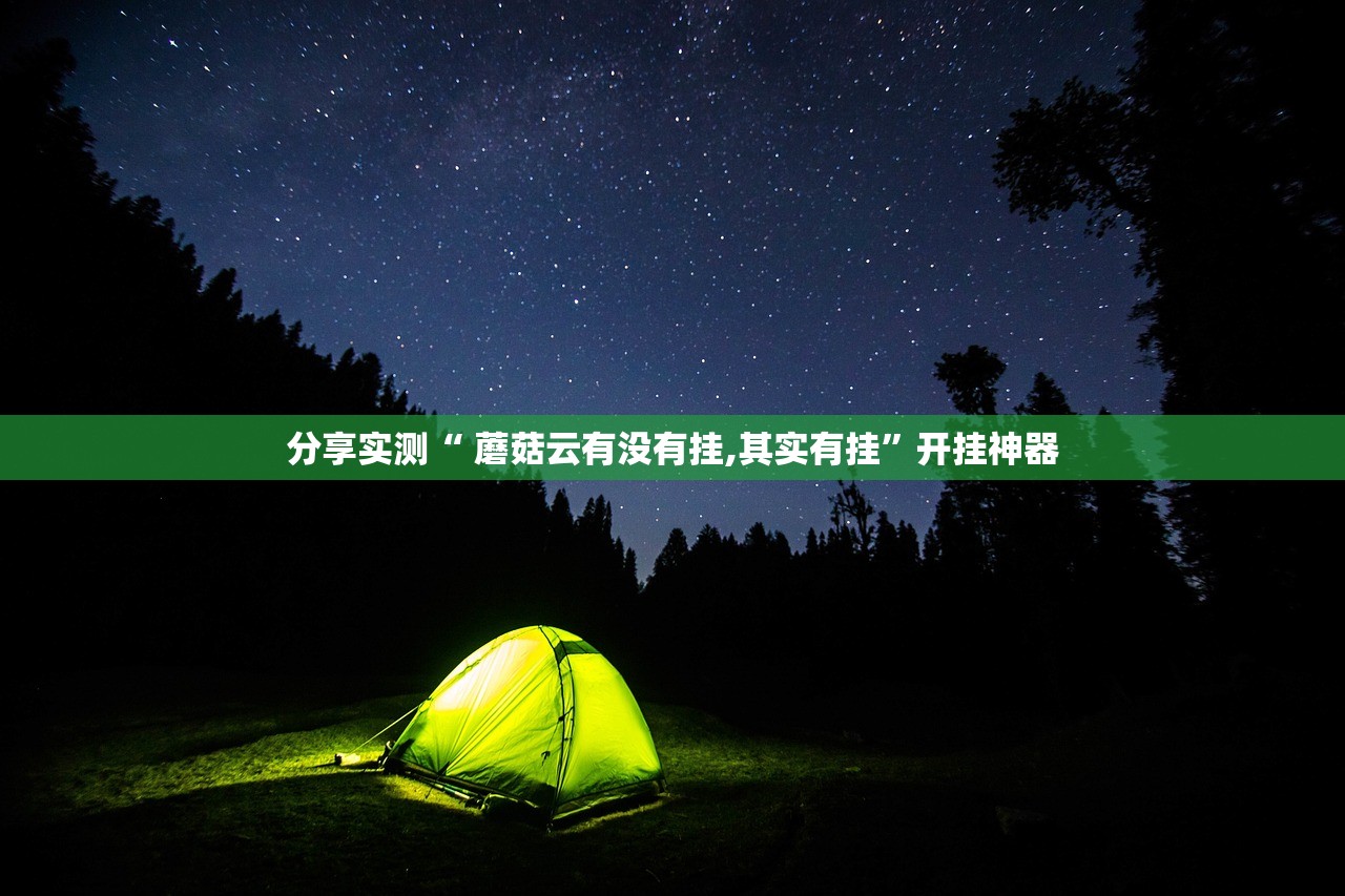 推荐一款新灵心有开挂辅助软件吗(其实真的能开挂) 推荐一款新灵心有开挂辅助软件吗(其实真的能开挂)