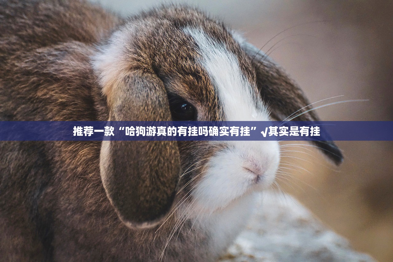 推荐一款财神V5.0天天微友真的有挂吗确实真的有挂