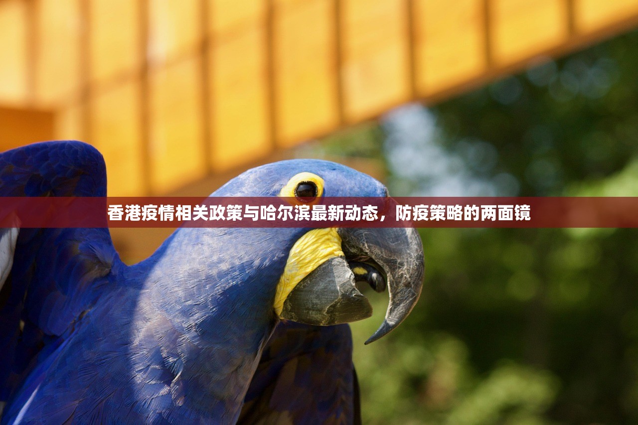 分享实测凉山跑得快“其实有挂”确实有挂果然有挂 分享实测凉山跑得快“其实有挂”确实有挂果然有挂