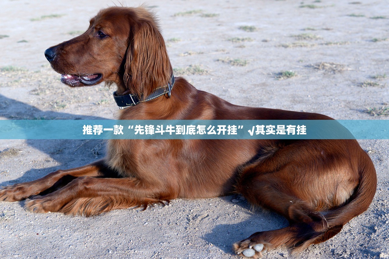 推荐一款衢州都莱怎样开挂!分享真的有挂给你 推荐一款衢州都莱怎样开挂!分享真的有挂给你