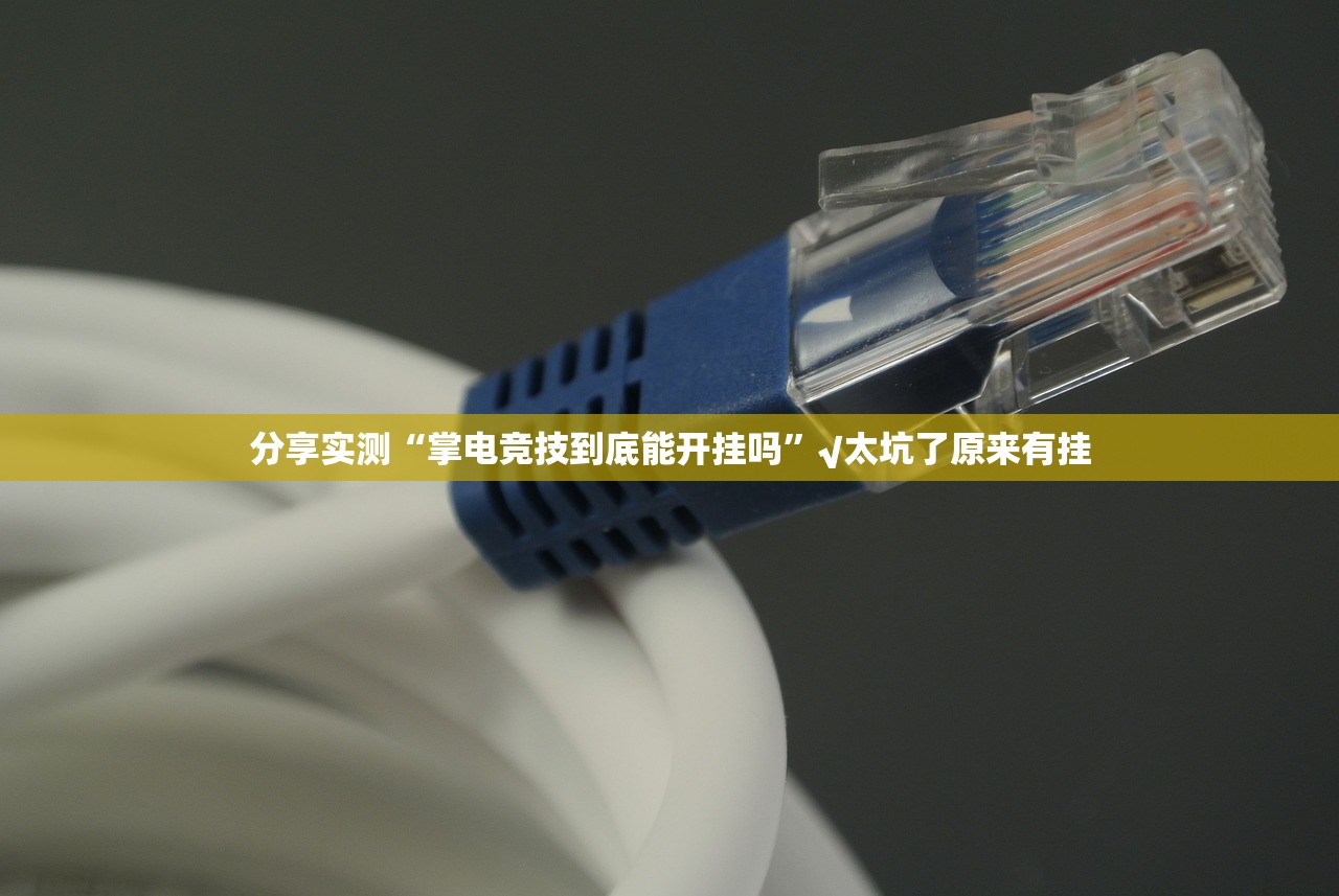 重大通报川渝互娱可以装挂的(确实有挂)