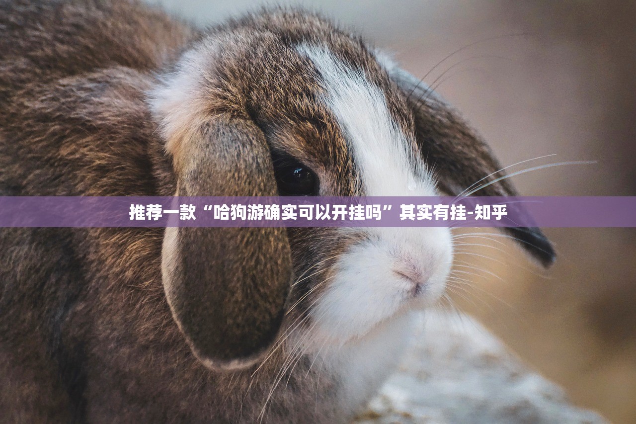 推荐一款小乐休闲到底能不能开挂真的确实有挂 推荐一款小乐休闲到底能不能开挂真的确实有挂